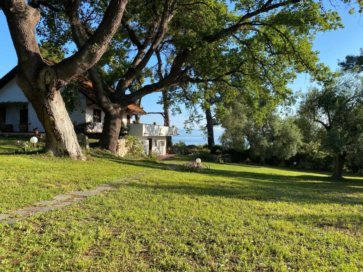 Wild Oaks Cottage Kriopigi Extérieur photo