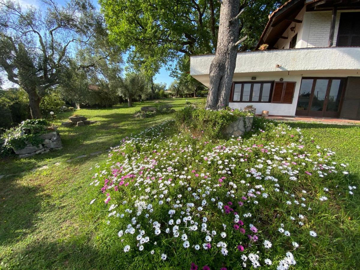 Wild Oaks Cottage Kriopigi Extérieur photo